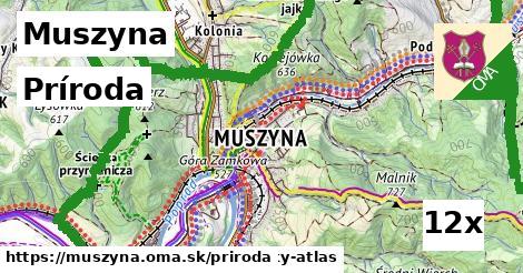 príroda v Muszyna