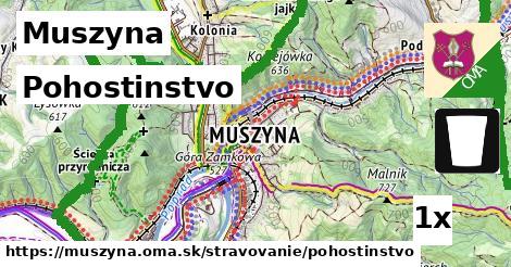 Pohostinstvo, Muszyna