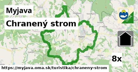 Chranený strom, Myjava