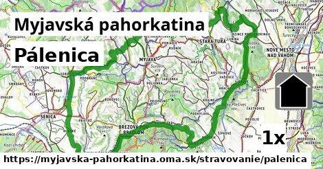 pálenica v Myjavská pahorkatina