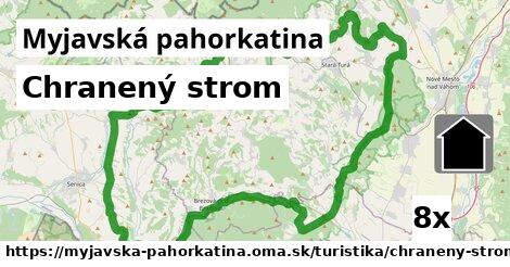 Chranený strom, Myjavská pahorkatina