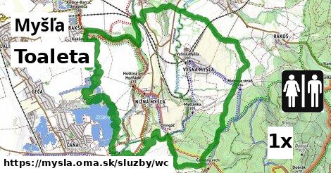 Toaleta, Myšľa