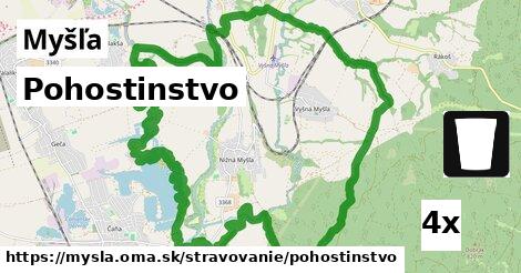 Pohostinstvo, Myšľa