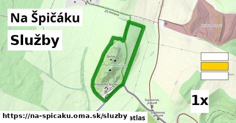 služby v Na Špičáku