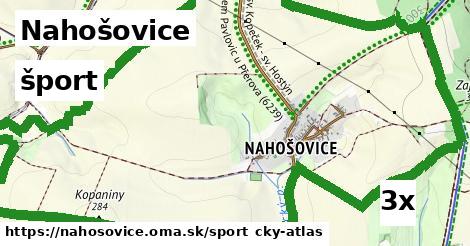 šport v Nahošovice