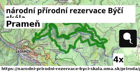 Prameň, národní přírodní rezervace Býčí skála