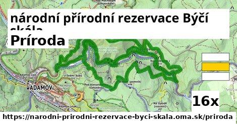 príroda v národní přírodní rezervace Býčí skála