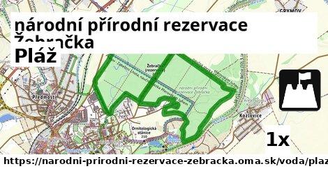 Pláž, národní přírodní rezervace Žebračka