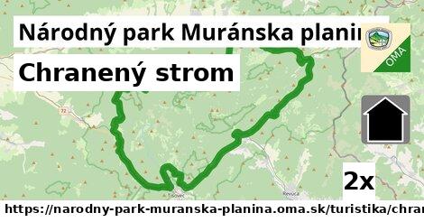 Chranený strom, Národný park Muránska planina