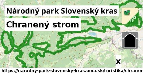 Chranený strom, Národný park Slovenský kras