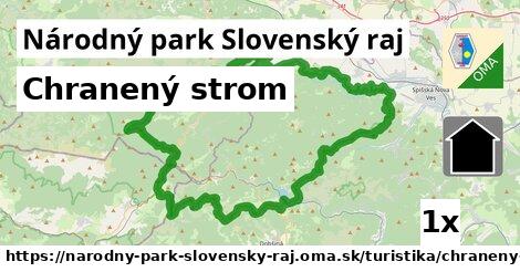 Chranený strom, Národný park Slovenský raj