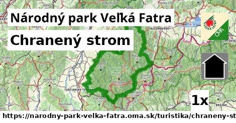 Chranený strom, Národný park Veľká Fatra