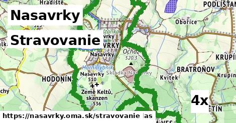 stravovanie v Nasavrky