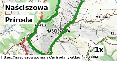 príroda v Naściszowa