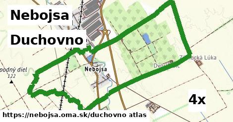 duchovno v Nebojsa