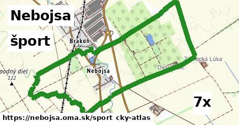 šport v Nebojsa