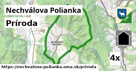 príroda v Nechválova Polianka