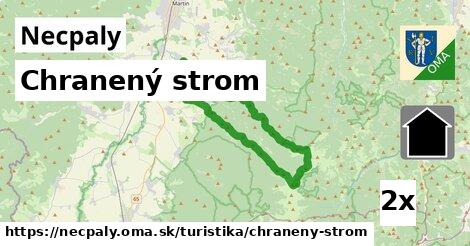 Chranený strom, Necpaly