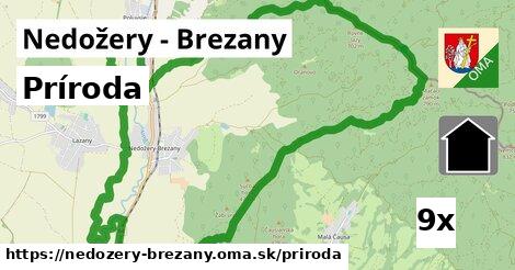 príroda v Nedožery - Brezany