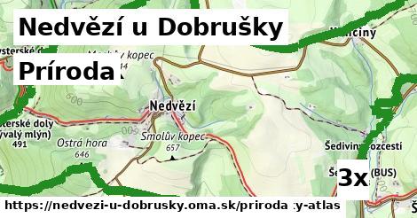 príroda v Nedvězí u Dobrušky