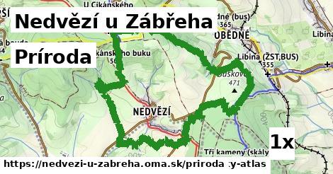 príroda v Nedvězí u Zábřeha