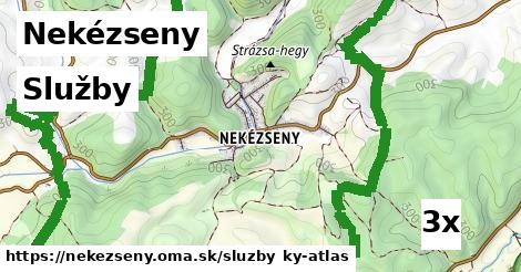 služby v Nekézseny