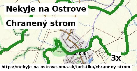 chranený strom v Nekyje na Ostrove