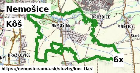 Kôš, Nemošice