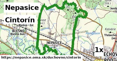 cintorín v Nepasice
