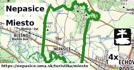 miesto v Nepasice