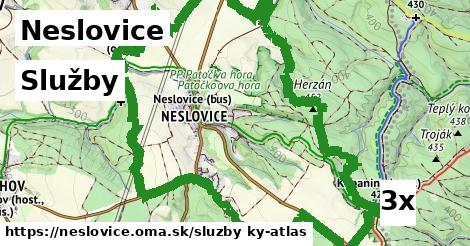 služby v Neslovice