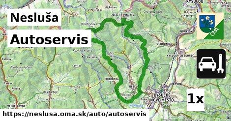 Autoservis, Nesluša