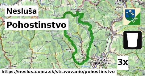 Pohostinstvo, Nesluša