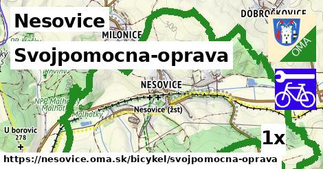 Svojpomocna-oprava, Nesovice