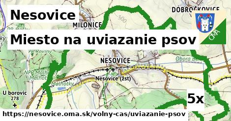 Miesto na uviazanie psov, Nesovice