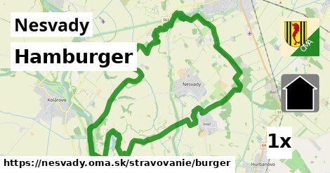 Hamburger, Nesvady