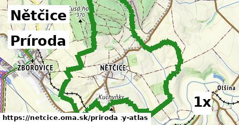 príroda v Nětčice