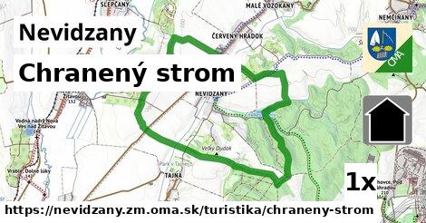 Chranený strom, Nevidzany, okres ZM