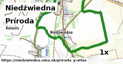 príroda v Niedźwiedna