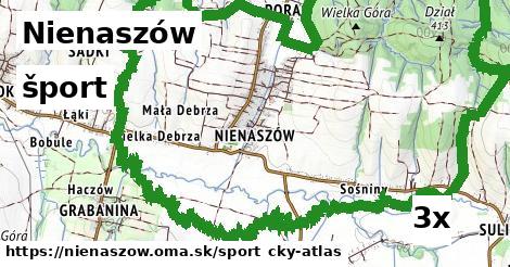 šport v Nienaszów