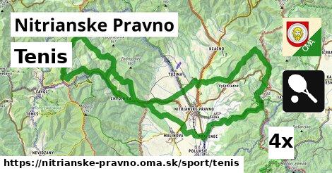 Tenis, Nitrianske Pravno
