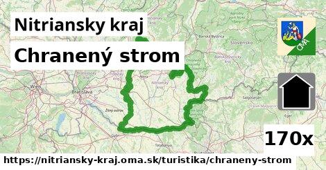 Chranený strom, Nitriansky kraj