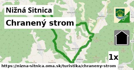 Chranený strom, Nižná Sitnica