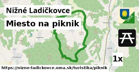 Miesto na piknik, Nižné Ladičkovce