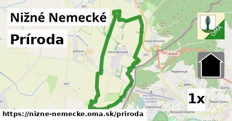 príroda v Nižné Nemecké