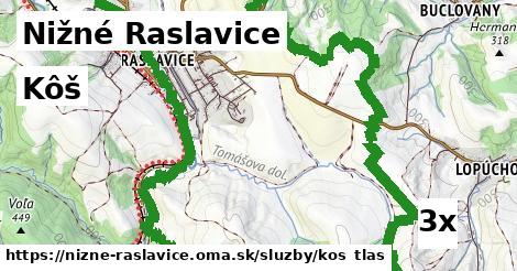 Kôš, Nižné Raslavice