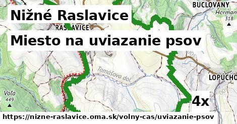 Miesto na uviazanie psov, Nižné Raslavice