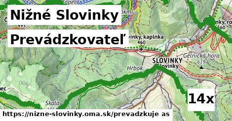 prevádzkovateľ v Nižné Slovinky