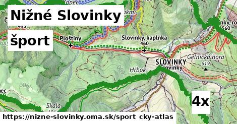 šport v Nižné Slovinky