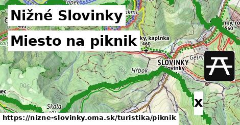 Miesto na piknik, Nižné Slovinky